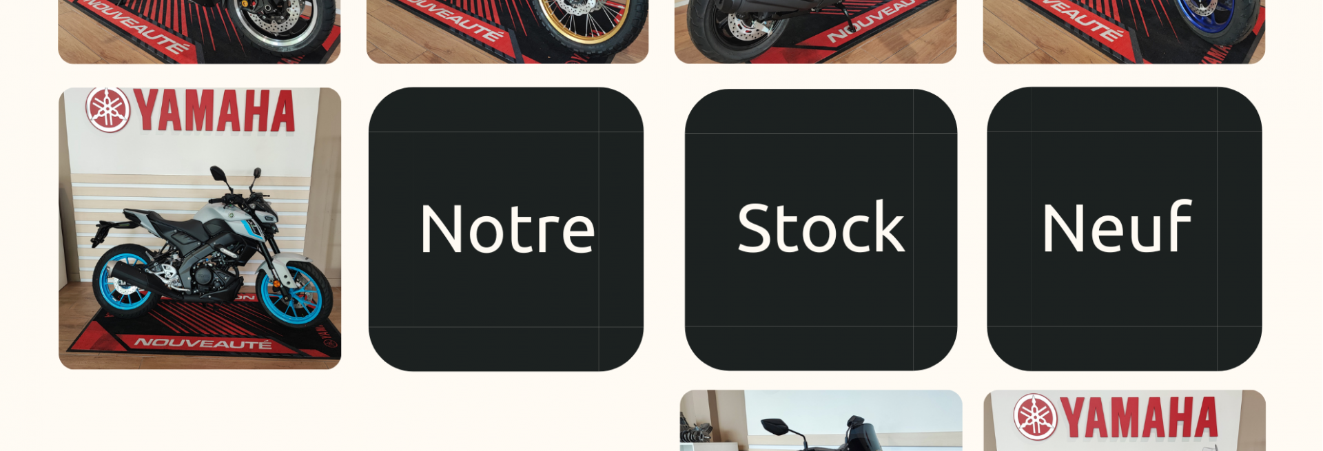 Notre Stock 