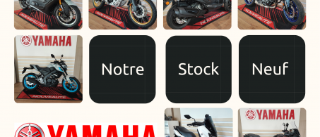 Notre Stock 
